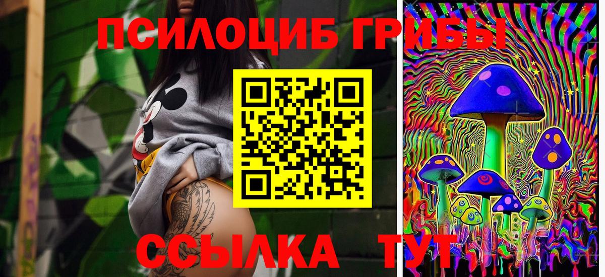 Мирный  Галлюциногенные грибы прущие грибы  Галлюциногенные грибы MAGIC MUSHROOMS  Вход с VPN 